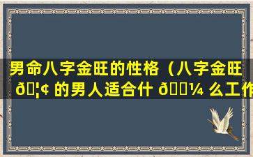 男命八字金旺的性格（八字金旺 🦢 的男人适合什 🌼 么工作）